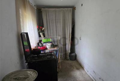 RECO IMOBILIARE CASA BATRANEASCA TINCA - 8