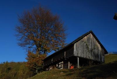 Vand teren Arges in  Dambovicioara 12 150 mp vedere Piatra Craiului - 3