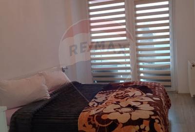 Apartament cu 2 camere decomandat, mobilat în Banu Mărăcine - 13