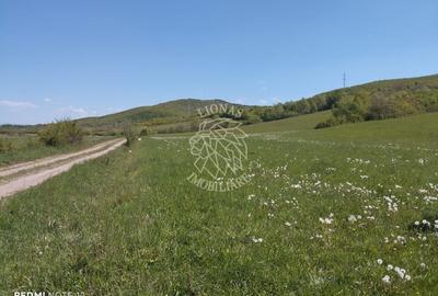 Teren agricol extravilan de 5400 mp, în Sărata - 1