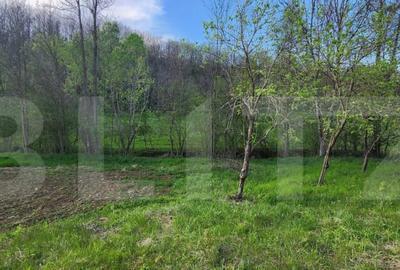 Teren 6650 mp, cu casa nefinalizata de 111 mp, in Nisipoasa - 9