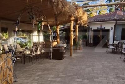 Restaurant de vanzare, 688 mp, zona Parcului Chindia - 6