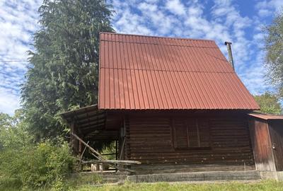 Cabana de vanzare  Firiza - 3