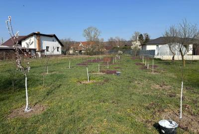 Casă în Fughiu - 5