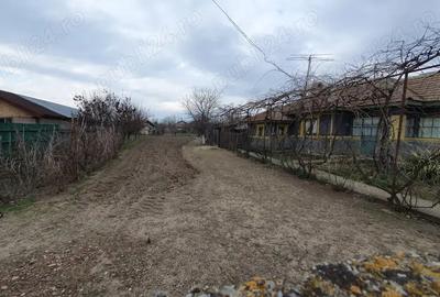 Vand casa cu teren in satul Sitaru, comuna Gradi?tea, jude?ul Ilfov - 5