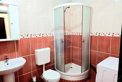 Garsonieră semidecomandată în Micălaca - 5