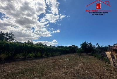 Singura casa de vanzare pe str.Mircea Voda cu 1500 mp ! - 14