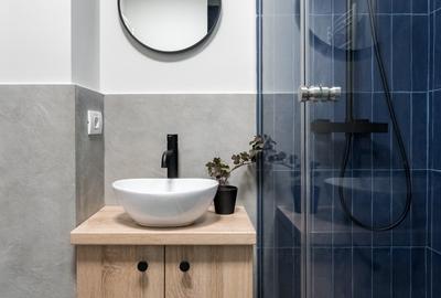 APARTAMENT 3 CAMERE*CALEA VICTORIEI*CISMIGIU*NOU - 12