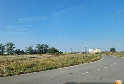 Teren de 7500 mp, în Viile Noi