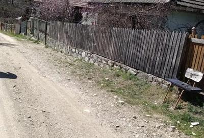 Casă cu 3 camere cu Teren 1200 Mp în Vărzaru - 2