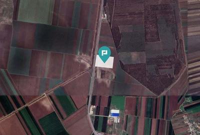 Teren Industrial in Glina, Jud. Ilfov - 2