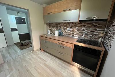 Apartament cu 2 camere decomandat în Rovine - 4
