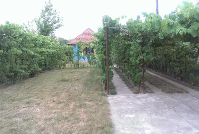 Casă cu 2 camere în Girocului - 1