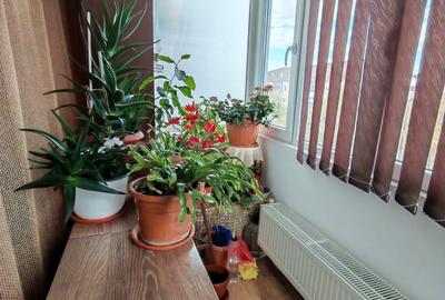 Apartament cu 3 camere decomandat în Parța - 2