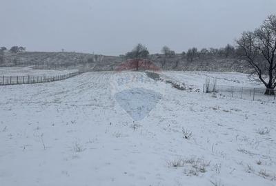 Teren 8,300mp Negresti (Dobreni) / Drumul DEALUL OTEL - 2