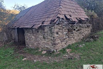 Vanzare casa cu 17.399 mp teren in Vintu de Jos - Valea Vintului - 3