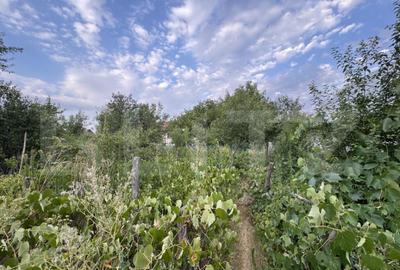 Casa batranesca, 97,57 mp utili, 1100 mp teren, Podari - 16