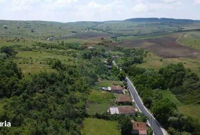 Spațiu comercial, în Satu Lung - 1