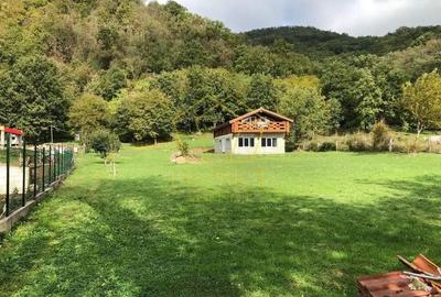 Casa de vacanta/pensiune cu teren de 3780mp | Clisura Dunarii - 3