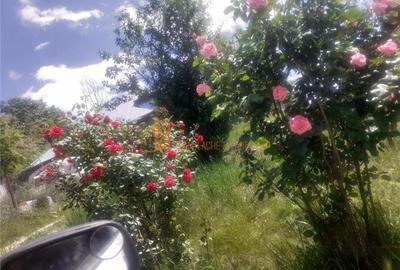 Casă individuală cu 4 camere cu Canalizare în Berca - 7