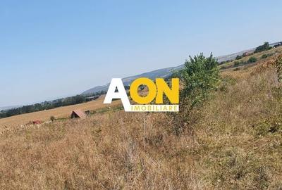 Teren agricol extravilan de 7737 mp, în Sud - 4