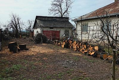 Casă individuală cu 4 camere în Broscăuți - 3