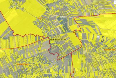 Teren Bolintin Deal - 3