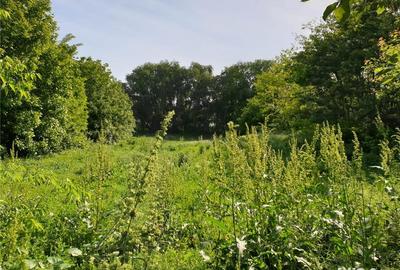 Casă cu 3 camere în Frumușani - 1