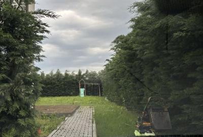 Vila individuala 5 camere I Eleganta si confort I zona Torontalului - 8