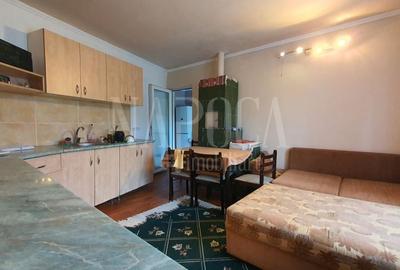 Casă individuală cu 4 camere cu Canalizare în Săldăbagiu de Munte - 7