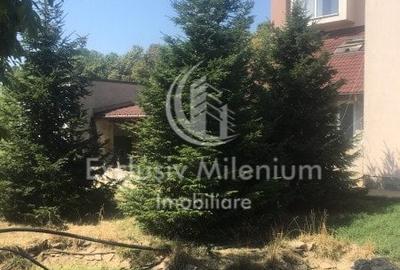 Casa la Padurea Rosu 650Mp + Teren ideal Activitati Comerciale/Birouri - 9