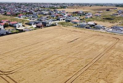 Teren Intravilan In Rate Com Berceni | utilitati: curent, drum | #UG16 Teren Intravilan In Rate Com Berceni | utilitati: curent, drum | #UG16 - 5