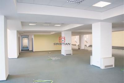 Spațiu comercial, de 250 mp, în Theodor Pallady - 9