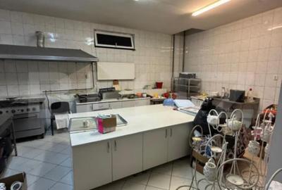 Spațiu comercial, de 734 mp, în George Enescu - 1