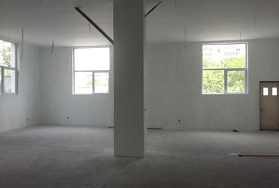 Theodor Pallady  300 mp - 4