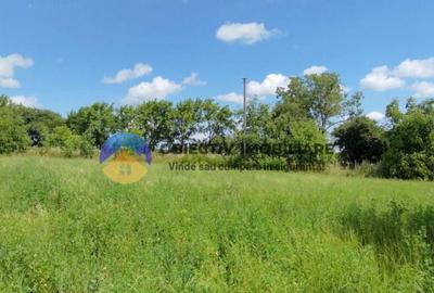 Teren intravilan de vanzare Unghi- jud. Neamt - 15