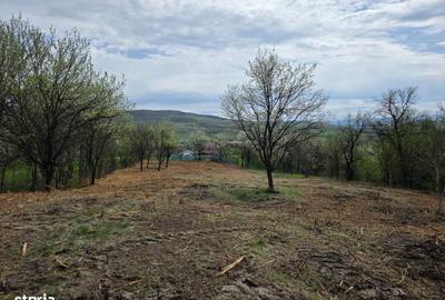 Spațiu comercial, în Bârsău