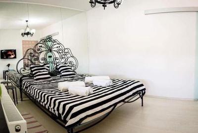 Apartament cu 2 camere semidecomandat, mobilat în Gara de Nord - 3