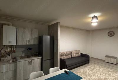 Apartament cu 2 camere decomandat în Preajba - 8