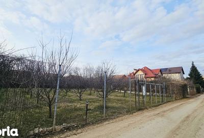 Teren de 1000 mp, în Central - 2