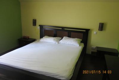Duplex cu 4 camere cu Canalizare în Noua - 26