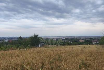 TEREN PAULESTI//10.000 MP - 12