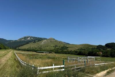 Teren pentru sala de evenimente, 9000mp, fundatie turnata, Rimetea - 7