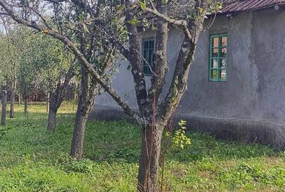 Casa de vanzare in ilovat, mehedinti - 6