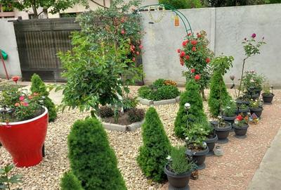 Casă cu 3 camere cu Teren 400 Mp în Buftea - 10