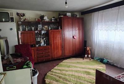 Casă cu 2 camere cu Teren 4368 Mp în Certeju de Sus - 10