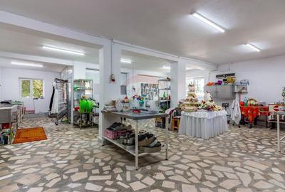 Casa+Laborator+ Teren 12.700 mp + casa de vacanta - Bolin... - 23