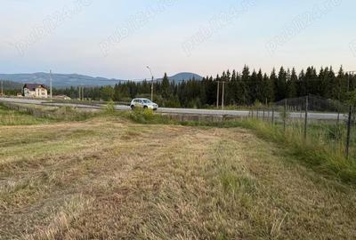 Teren în Poiana Stampei - 7