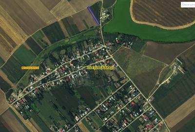 Teren ideal casa de vacanta sau activitati in domeniul agro