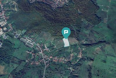 Teren fâneață lângă pădure - Hunedoara - 3